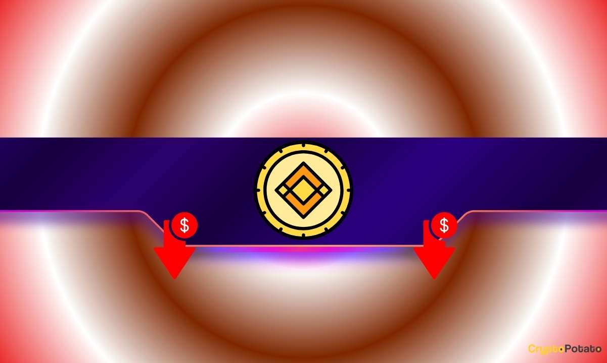 These Altcoins Crash Hard Following Binance Delisting: Details