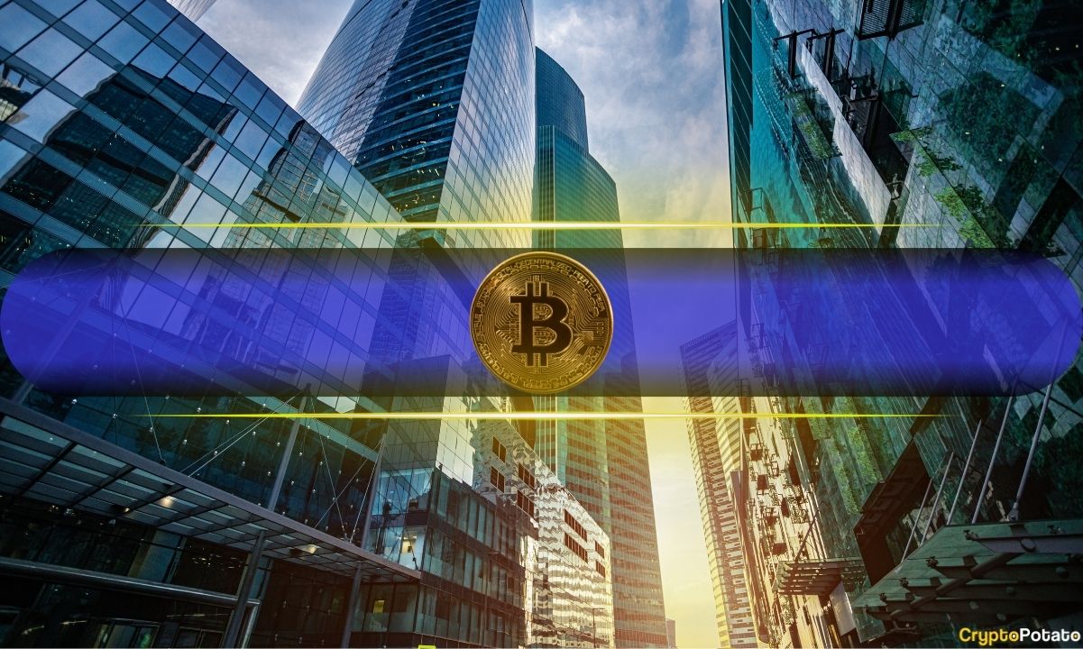 Bitcoin Could Win Big as Central Banks Prepare to Hold Rates