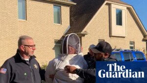 Beekeeper jailed after releasing insects on authorities trying to evict her friend | Massachusetts
