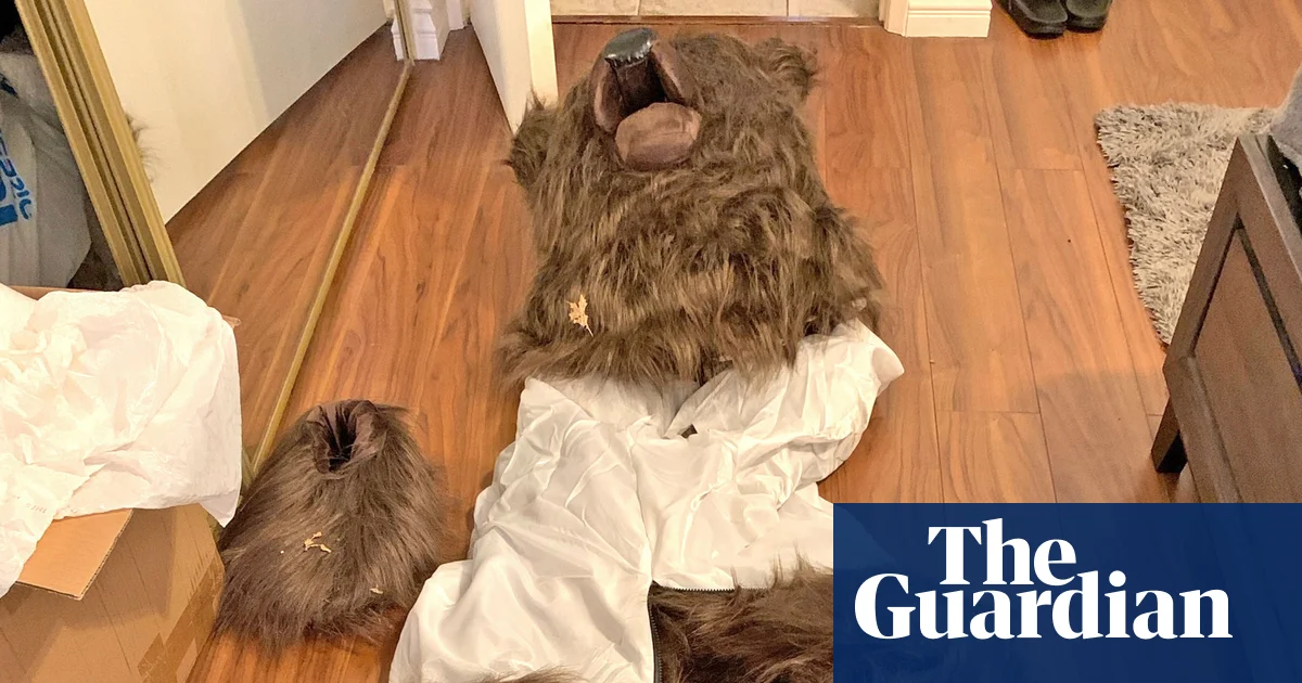 Three people sentenced to jail for bear-suit insurance scam in California | Los Angeles
