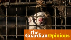 Ban fur farming or risk a new pandemic | Neil Vora