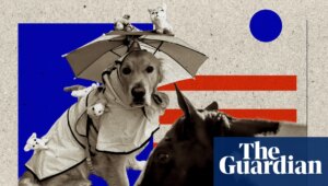 Beasts of no party: the curious history of America’s animal mayors | US news