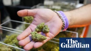 Trump administration moves to reclassify marijuana to schedule III drug | Trump administration