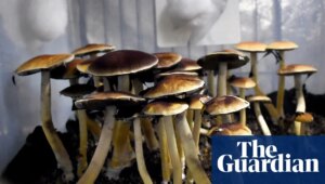 ‘Can I have some, please?’: has Trump opened the door to a psychedelic future? | Trump administration