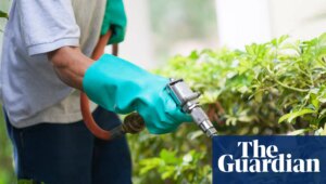 US supreme court to hear case that could weaken consumers’ ability to sue for failure to warn of product risks | US supreme court