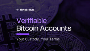 Verifiable Bitcoin Accounts for Institutional Bitcoin: Your Custody, Your Terms